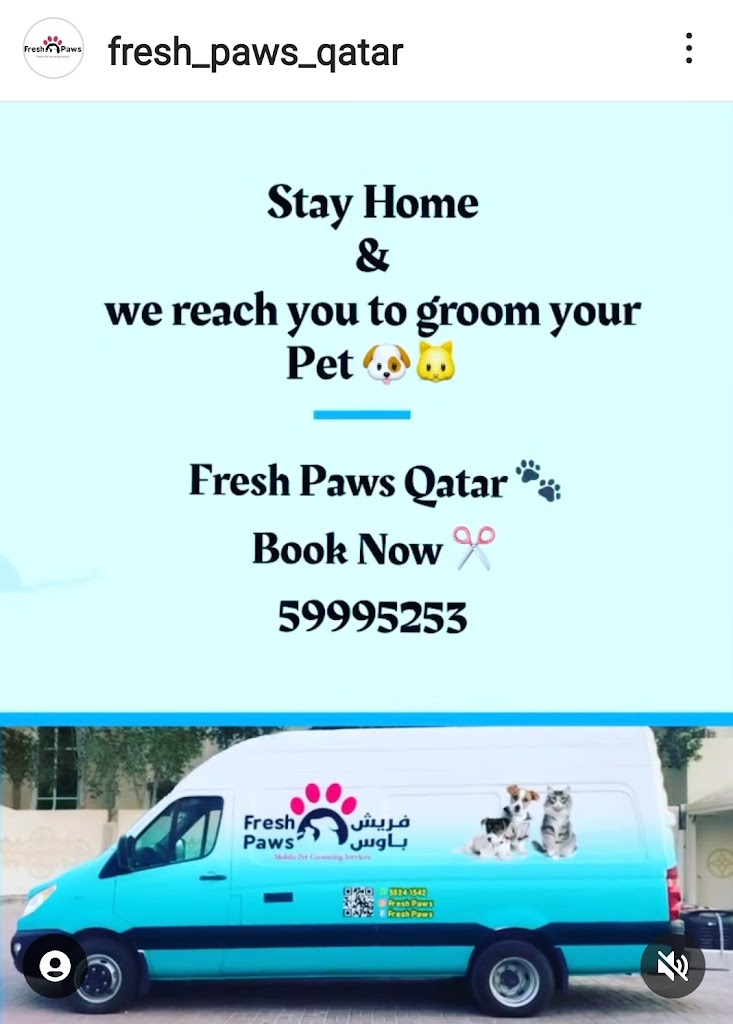 Fresh Paws mobile pets grooming - Photo 2